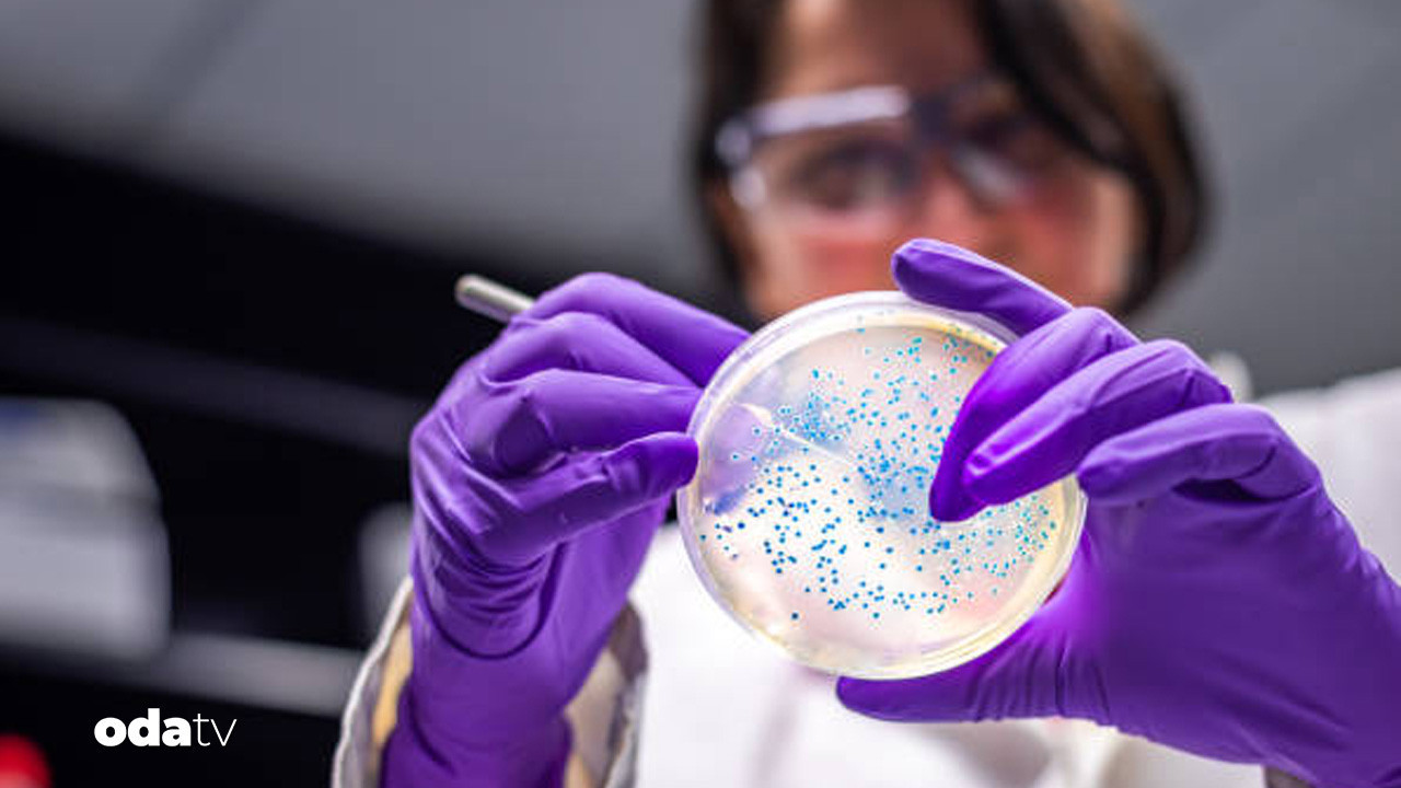 abdde 10 eyalette salmonella alarmi 7 kisi hastanelik isNrZZeA