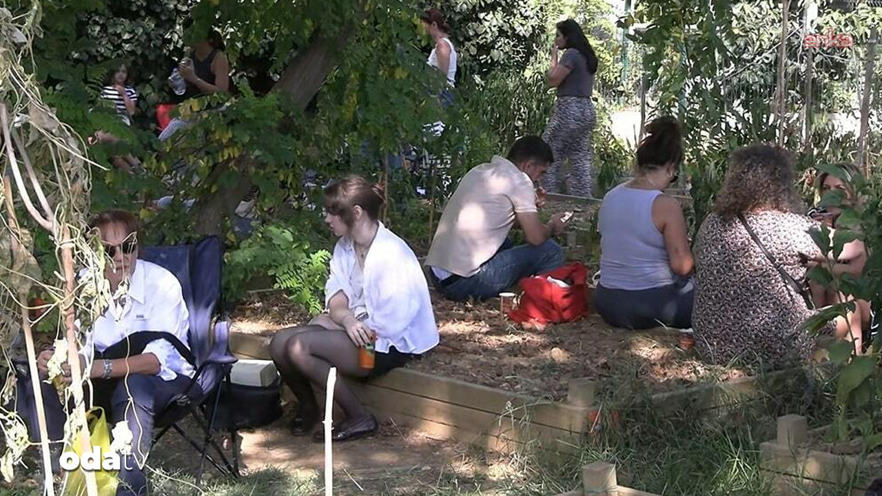 caferagada son yesil alan tepkisi buyuyor QXdnuSCq