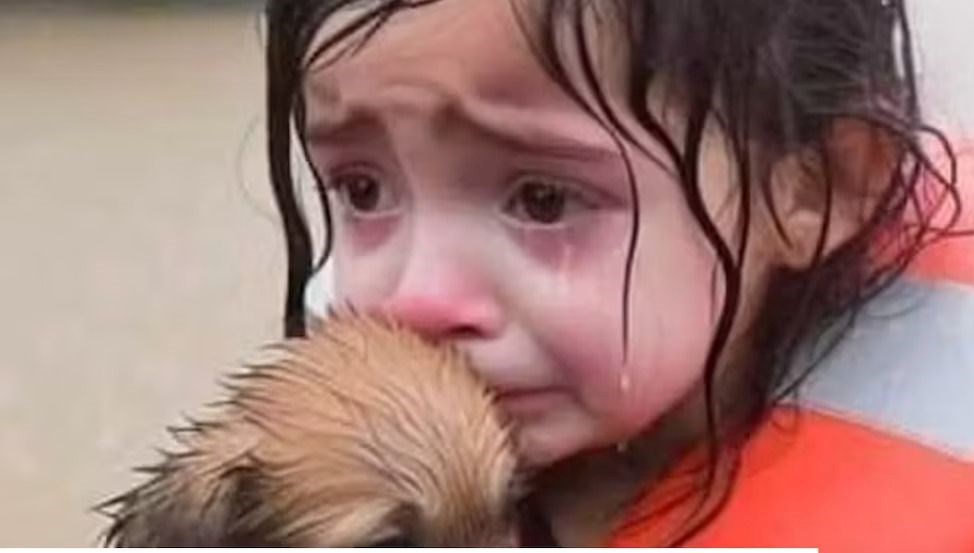 interneti dolduran yeni tehlike ai slop nedir Unpqyu3E