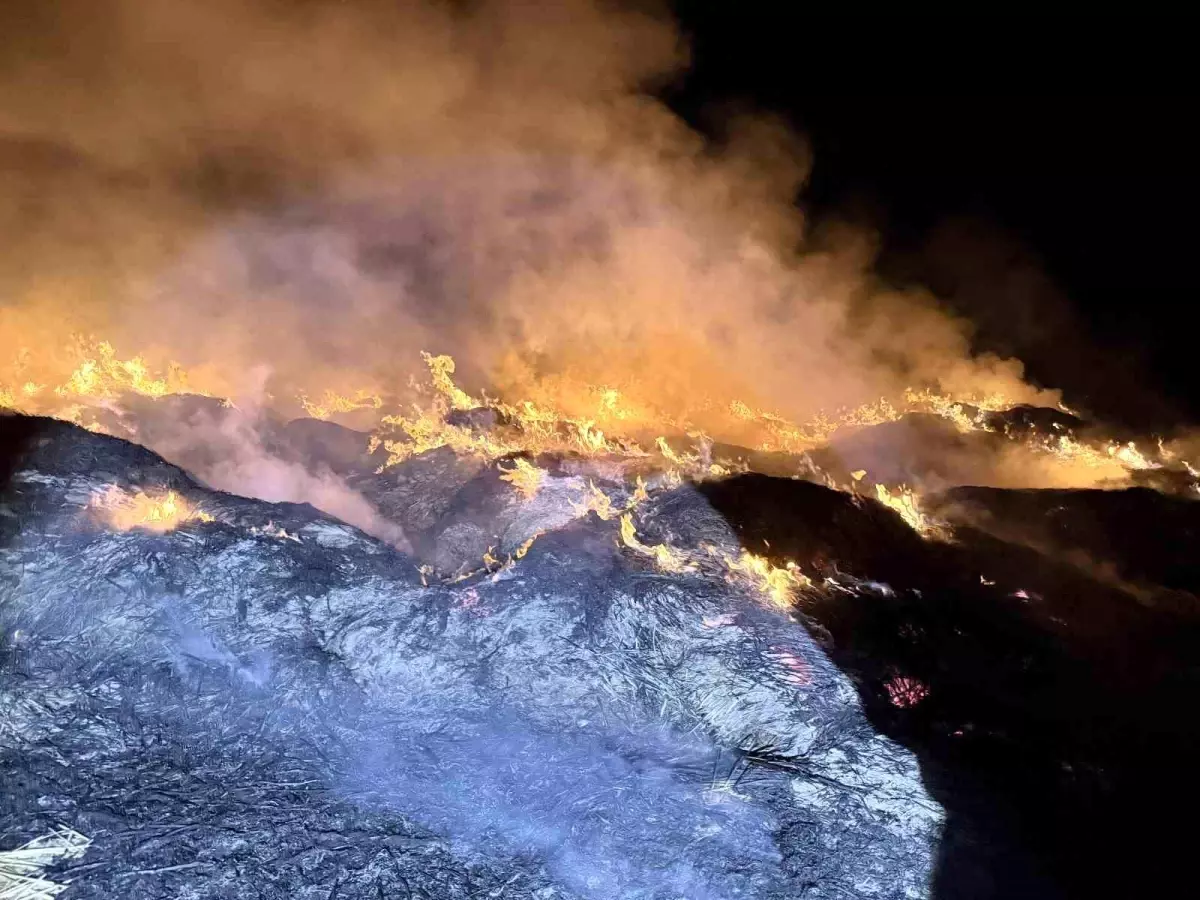 afyonkarahisarda yangin eber golunden toplanan kamislarin depolari alev aldi 8WEgZtnE