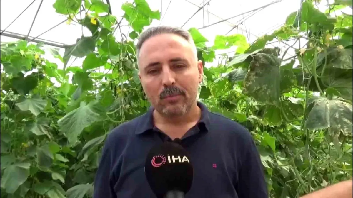 diyarbakirda salatalik serasi kuruldu 9N2kI9xS