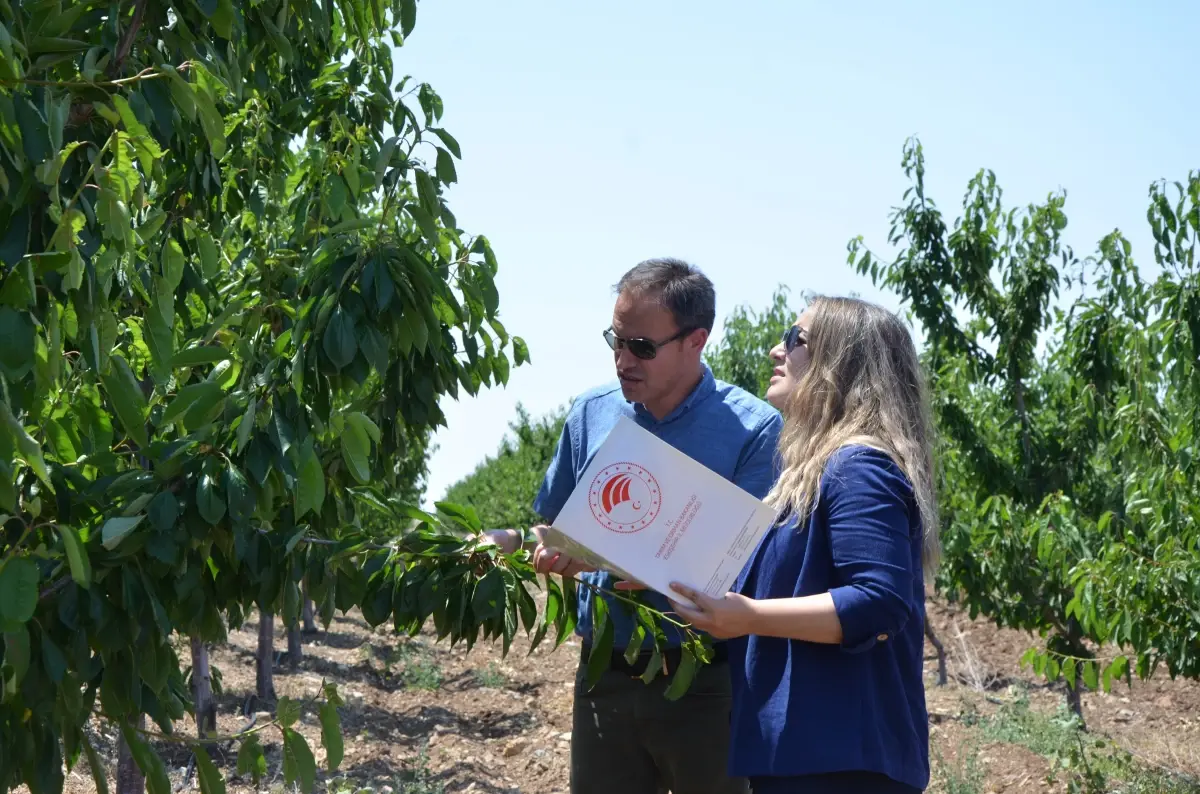 eskisehirde zirai don olayi nedeniyle ciftcilere 55 milyon lira destek 5uncjiBJ.jpg