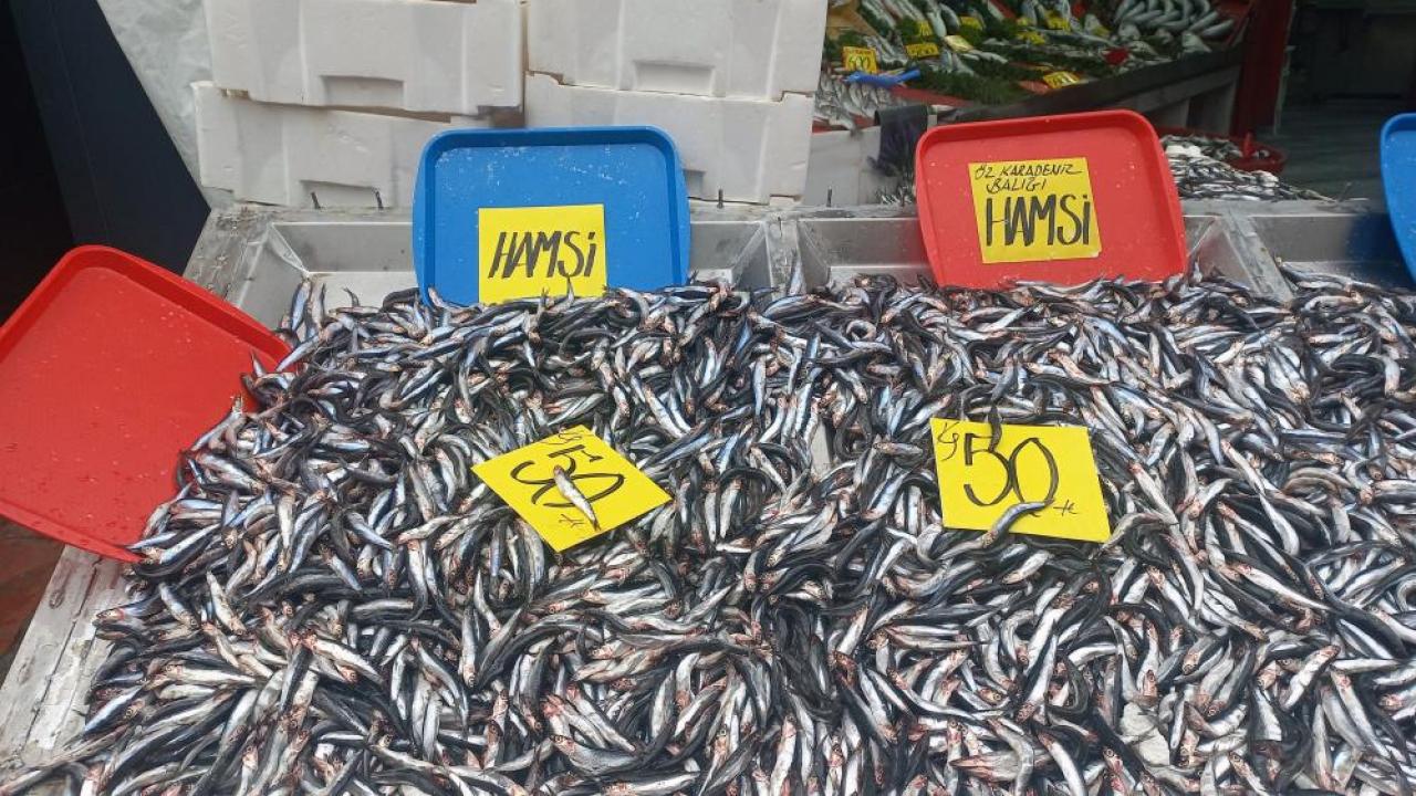 hamsinin kilosu 50 liraya dustu vatandaslar poset poset aldi uJgUbCbf.jpg