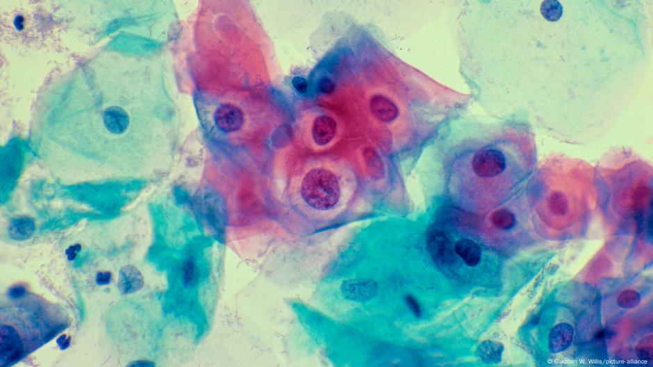 Papilloma Virüsü HPV Aşısı
