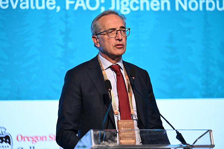 Ormanlar ve İnovasyon