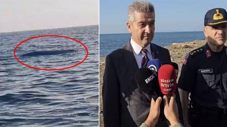 karadenizde bir haftada ikinci vaka balikcilar goruntuledi vali yaklasmadan dokunmadan hemen haber verin 3EMWFyBk