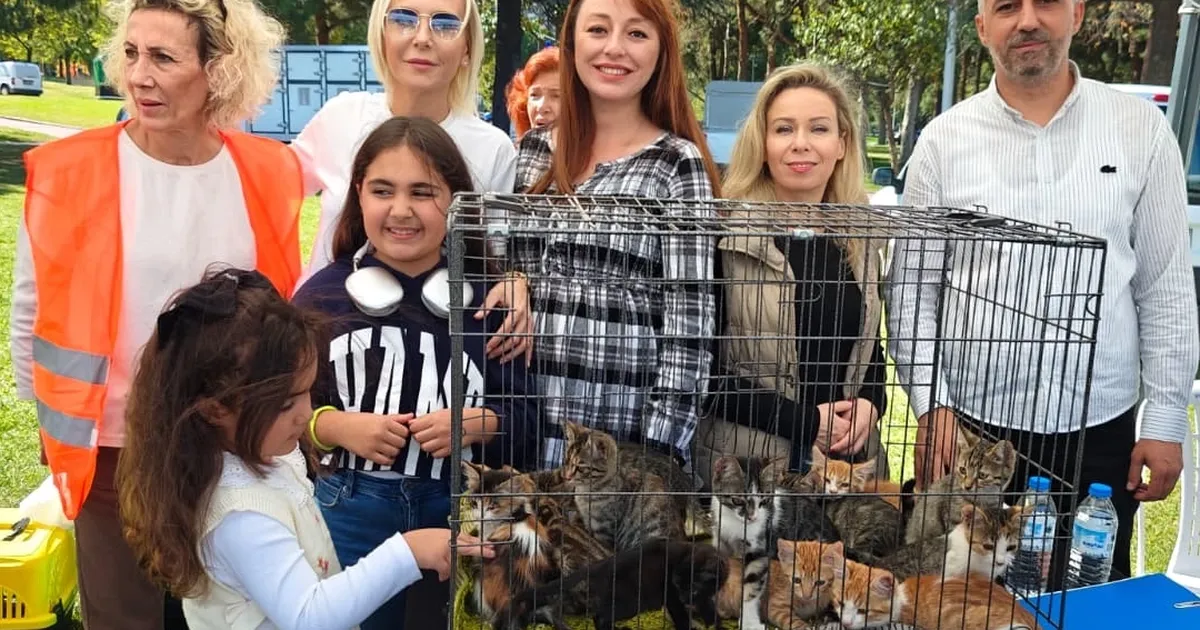 satin alma sahiplen etkinliginde can dostlara yeni yuvalar c5hqI3F7