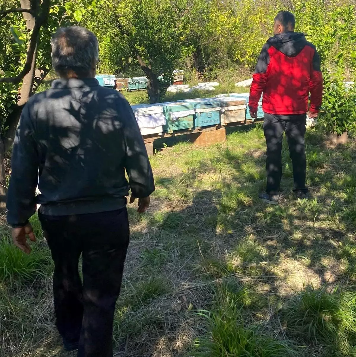 ortacada ari kovani tespit calismalari mvUwyscW.jpg