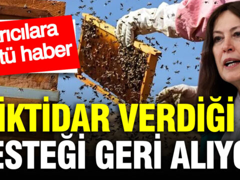 Iktidar verdigi destegi geri aliyor aricilara kotu haber Zc6qa4S3