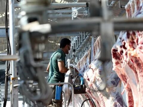 Kesimhanelerde yeni donem kamera sistemi zorunlu oluyor bhpzrTLx